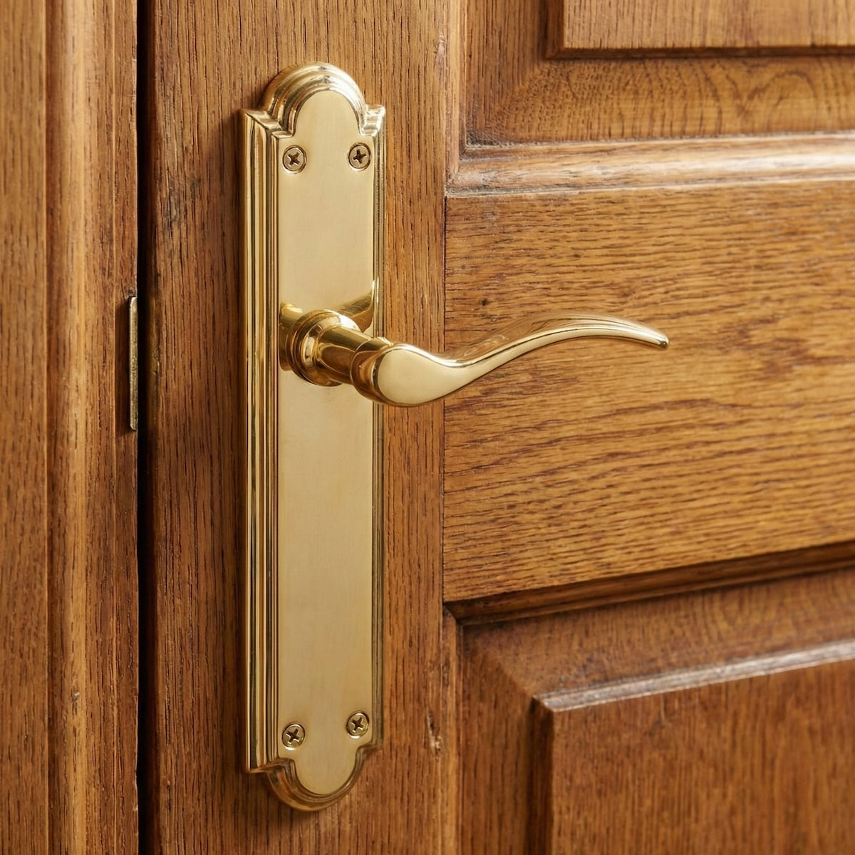 Juego de Manillas latonadas con placa ovalada para puertas