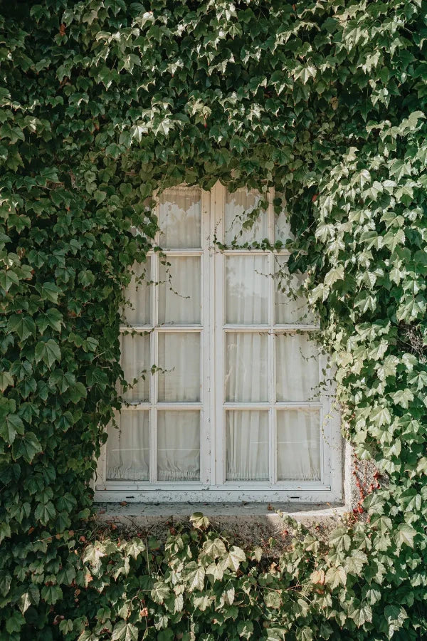 Ventana con sus herrajes
